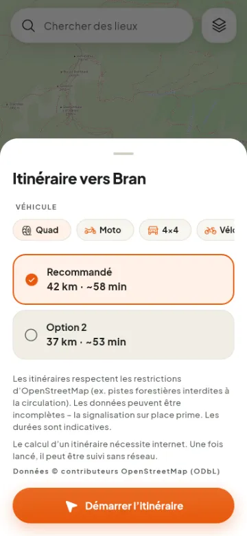 Choix du véhicule et de l’itinéraire vers Bran